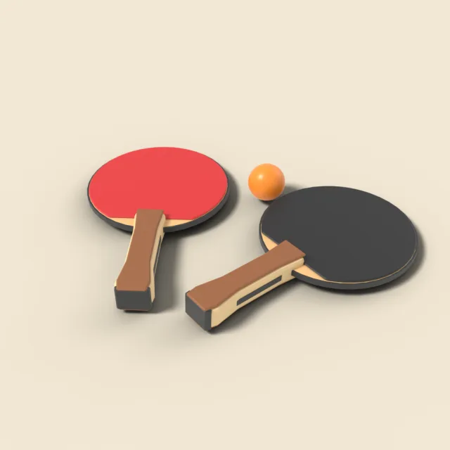Ping pong paddle pair with ball