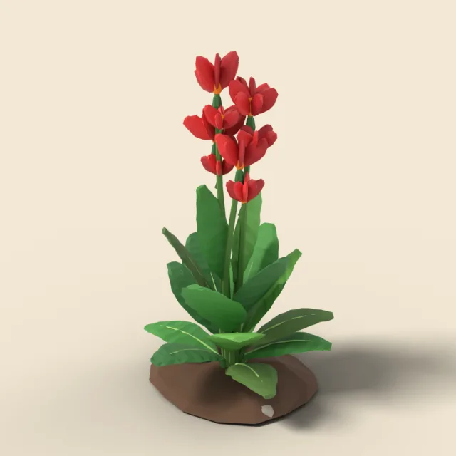 Canna lily with red flowers