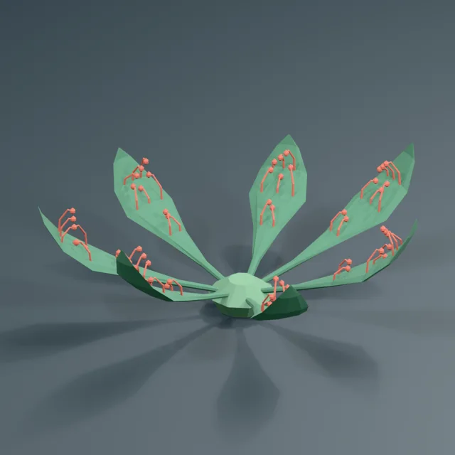 curved_spoon_tissue_glandular_sundew