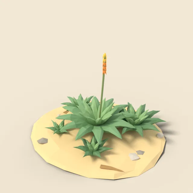 Aloe clump in sand