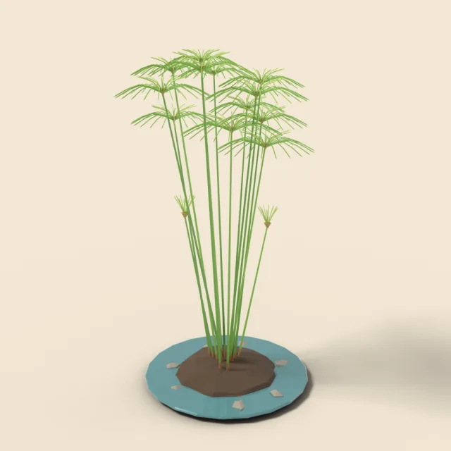Papyrus clump with umbrella tops