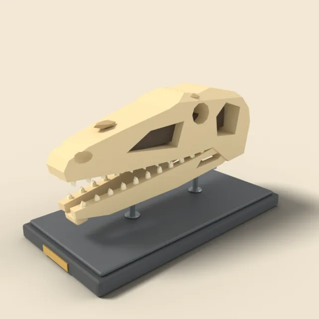 Dinosaur skull fossil