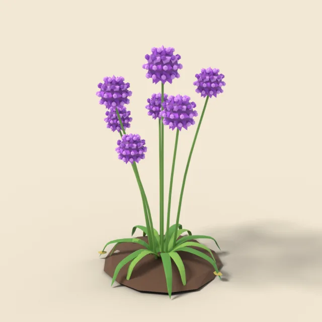 Allium globes on tall stems