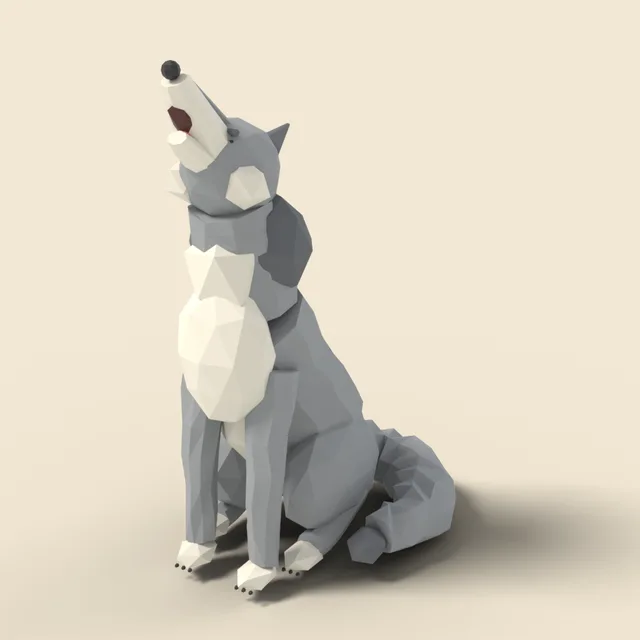 Howling grey wolf