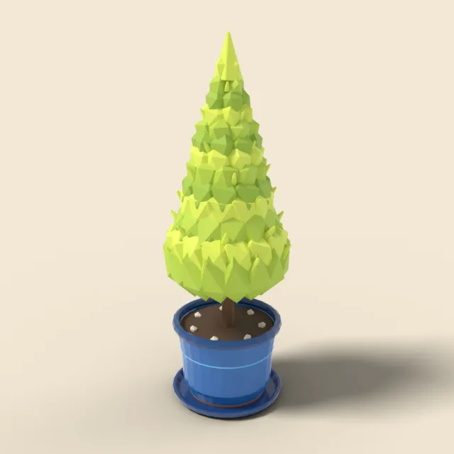 Potted lemon cypress in glazed blue pot