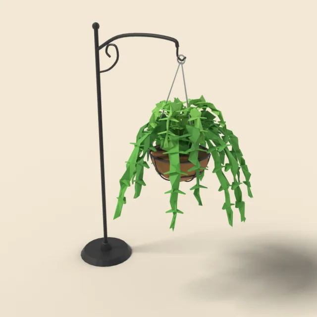 Boston fern in hanging basket