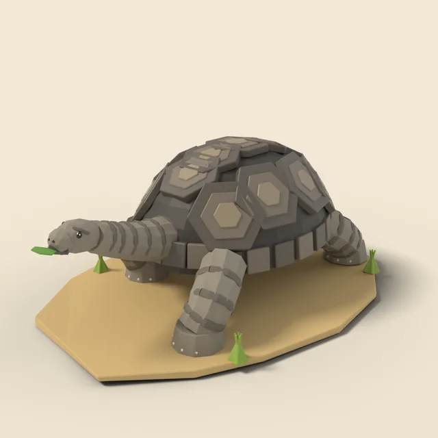 Giant tortoise walking