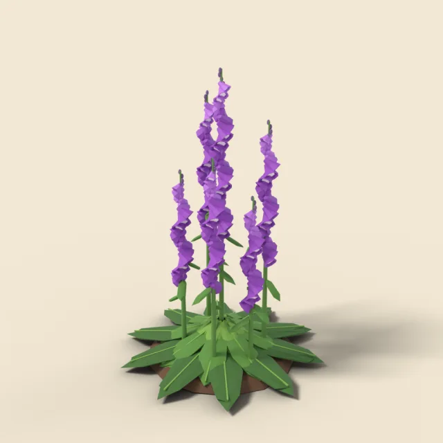 Purple foxglove clump