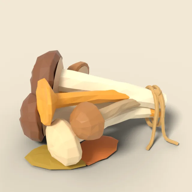 Bundle of wild forest mushrooms