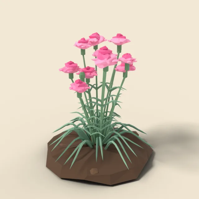 Pink carnation clump