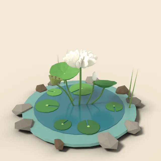 White lotus with seed pod