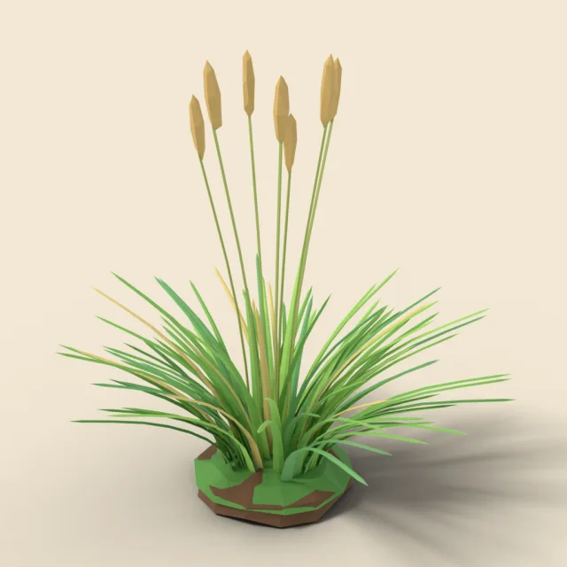 Tuft of wild meadow grass