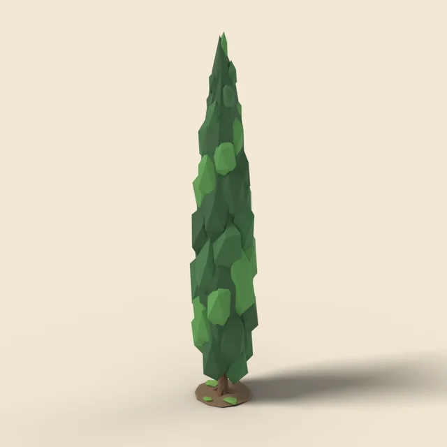Tall Italian cypress tree