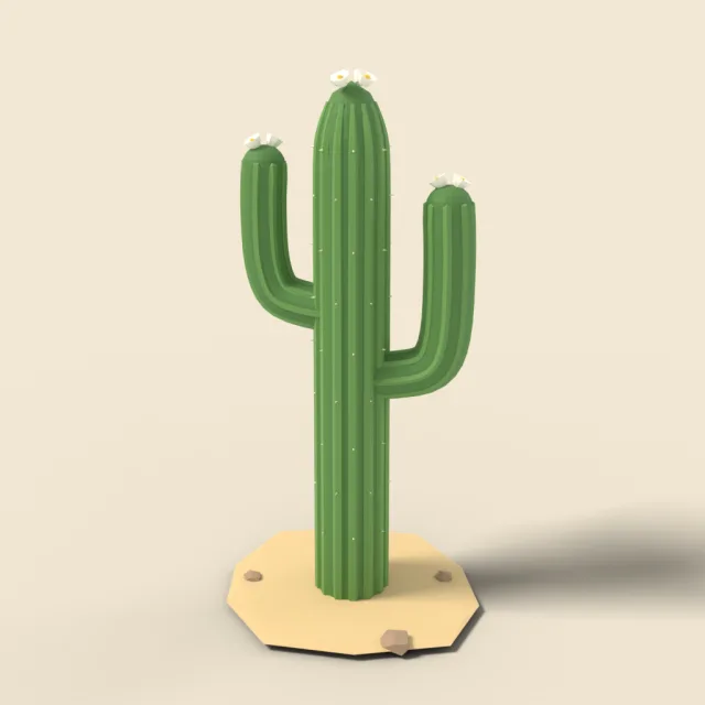 Tall saguaro cactus with arms