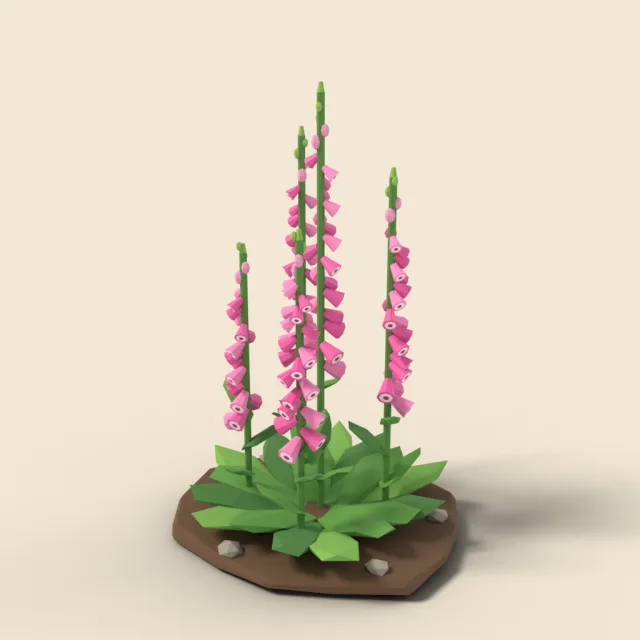 Pink foxglove spires