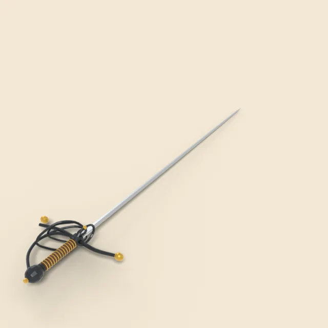 Swept hilt rapier with long thin blade
