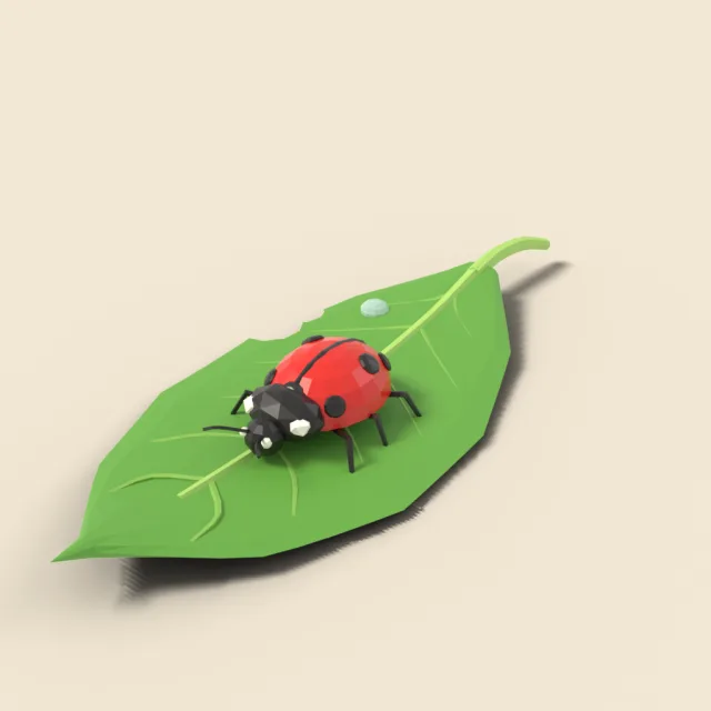 Ladybug on a leaf