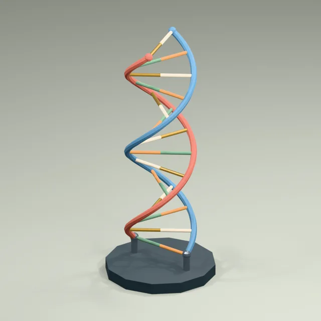 paired_backbone_double_helix_exhibit