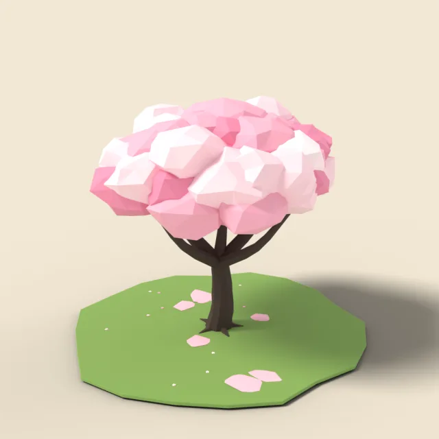 Cherry blossom tree in full bloom