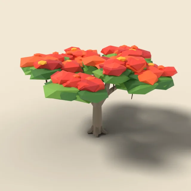 Flame tree with red crown
