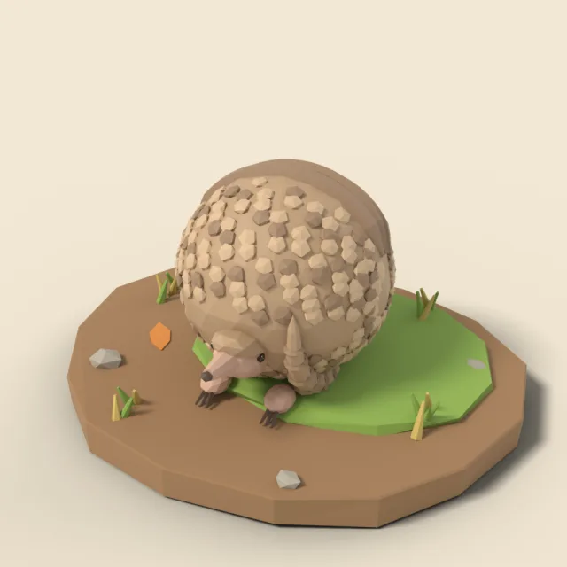 Curled armadillo