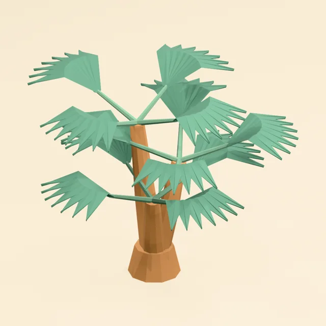 fan_palm_000