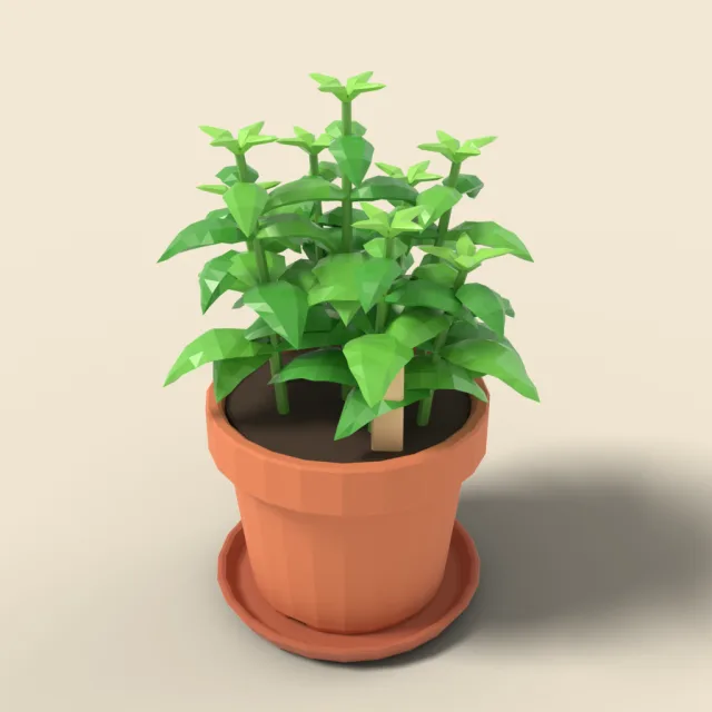 Herb pot with basil leaves