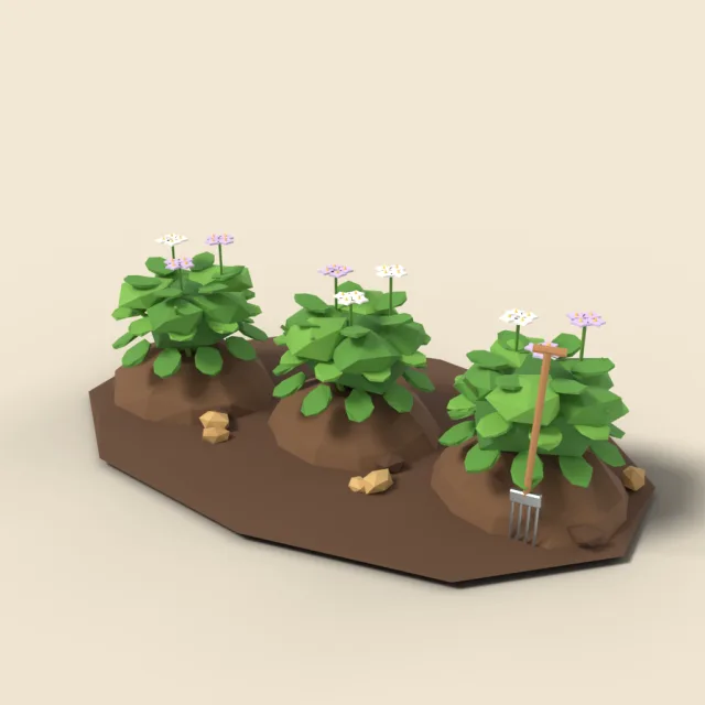 Potato plants on mounds