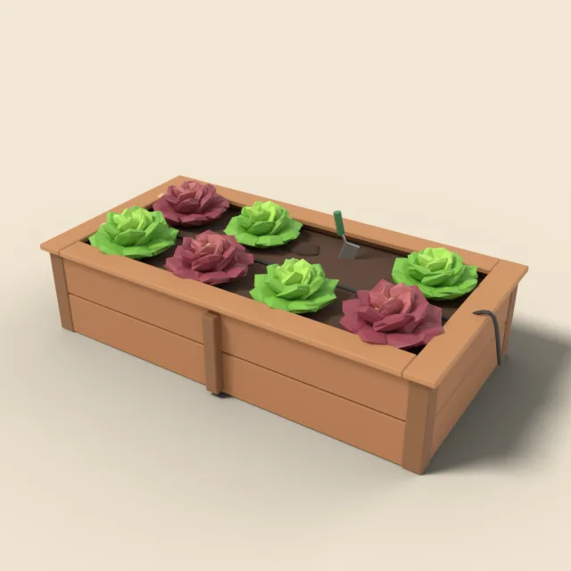 Raised garden bed with lettuce