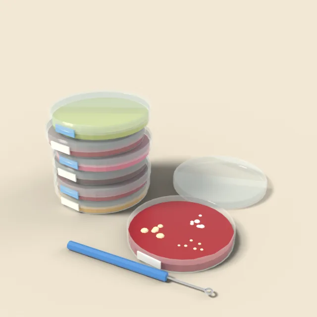 Modern petri dish stack