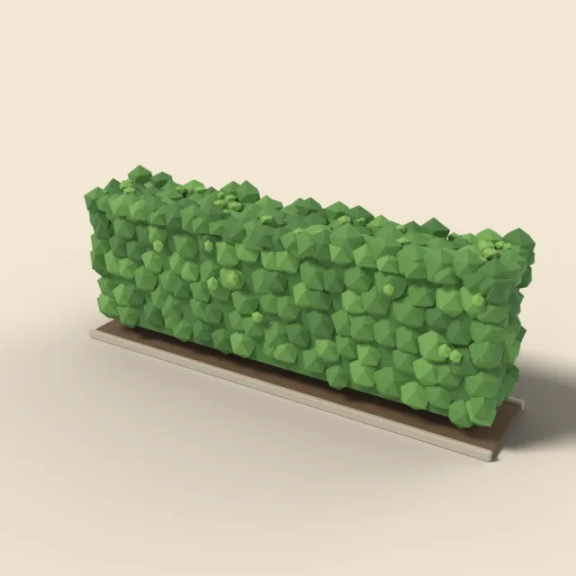 Trimmed boxwood hedge straight