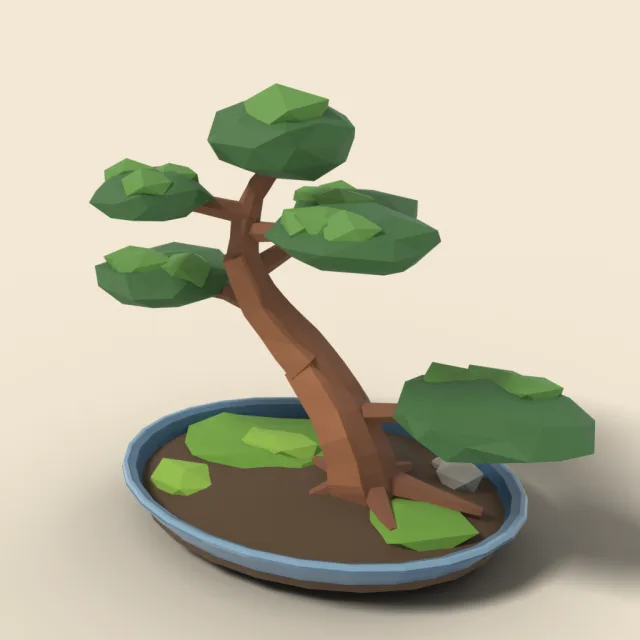 Bonsai pine in shallow dish