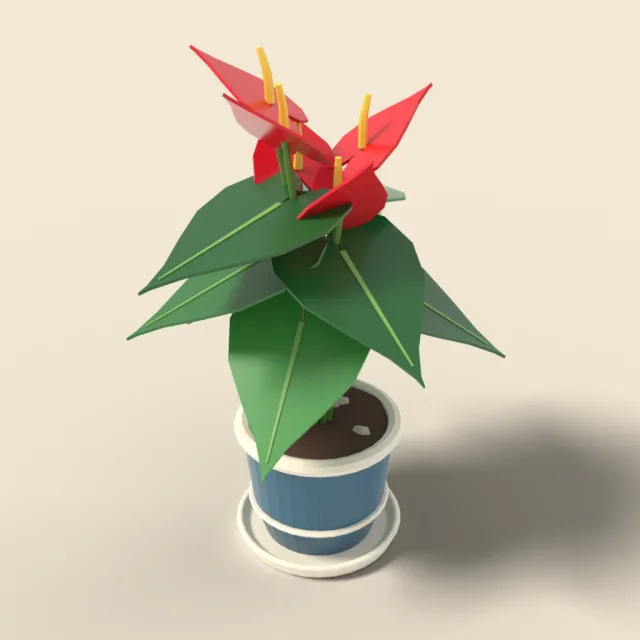 Anthurium with red flowers in pot