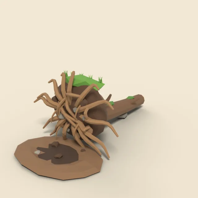 Uprooted tree root ball