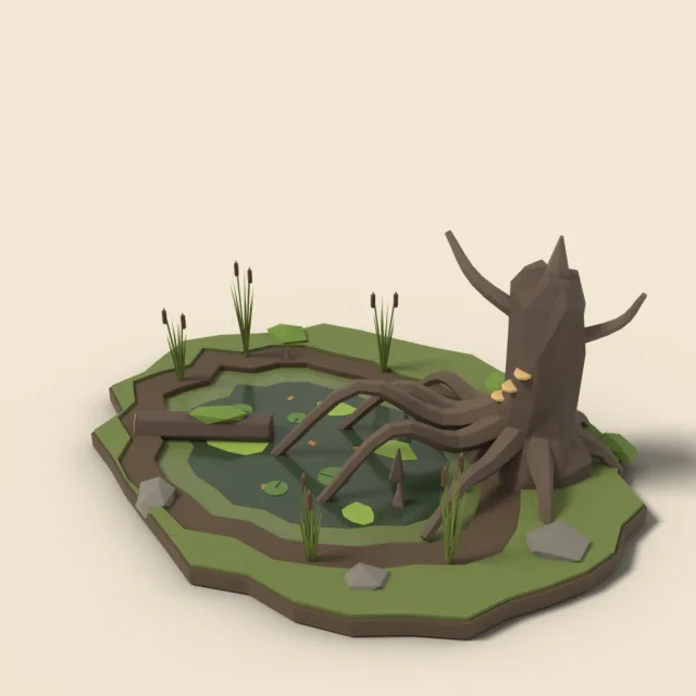 Murky swamp pool with roots