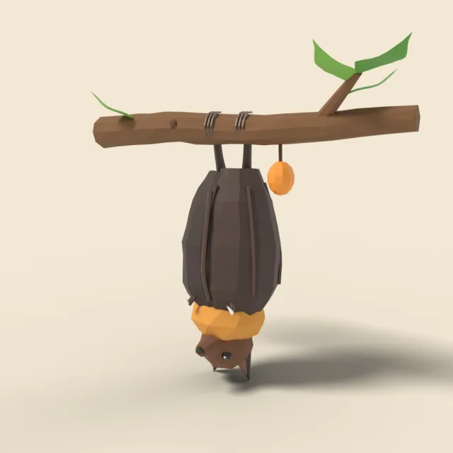 Hanging fruit bat