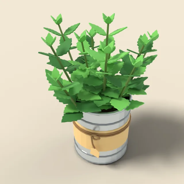Mint in tin can planter