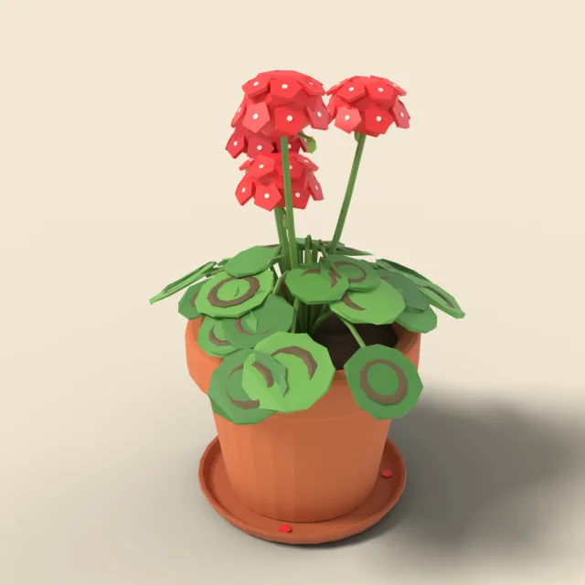 Terracotta pot with geraniums