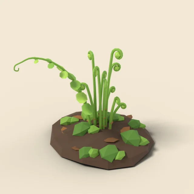 Young fern fiddleheads