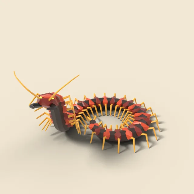 Giant centipede curling