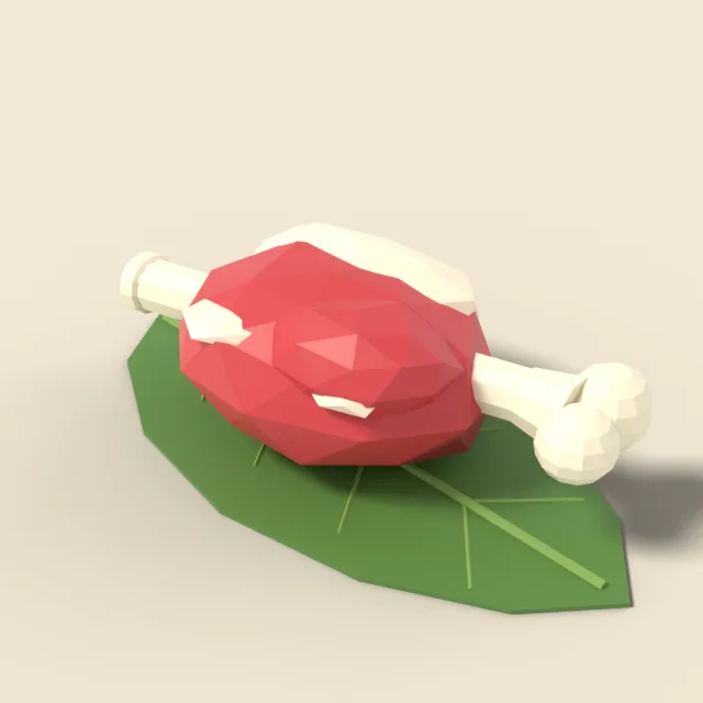 Raw meat chunk with bone