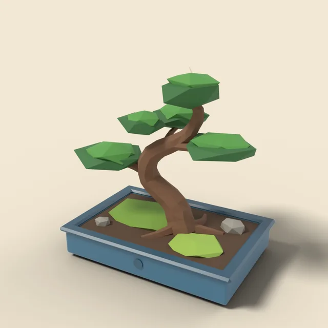 Bonsai pine in ceramic tray