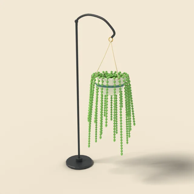 Hanging string of pearls plant