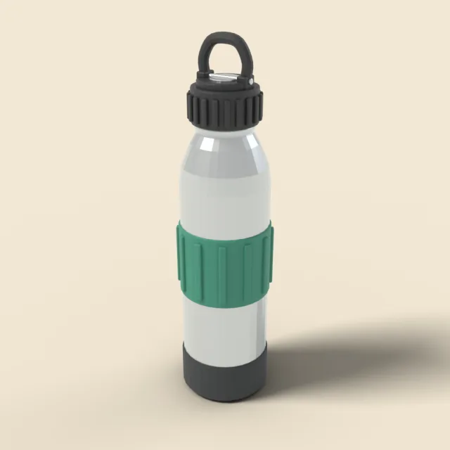 Stainless steel water bottle with loop cap