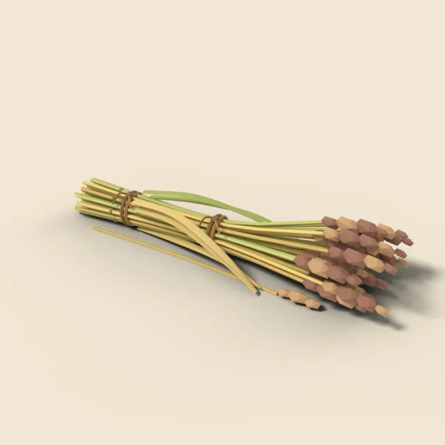 Sheaf of tied river reeds