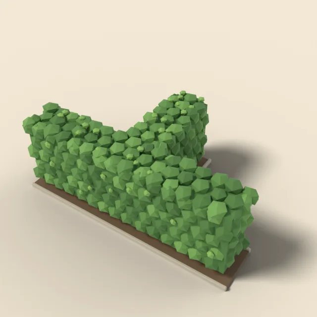 Trimmed boxwood hedge T-junction