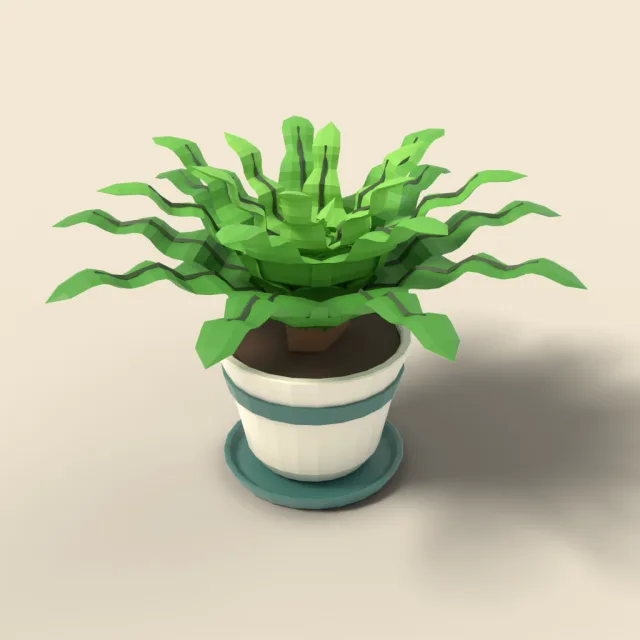 Nest fern with wavy leaves in pot