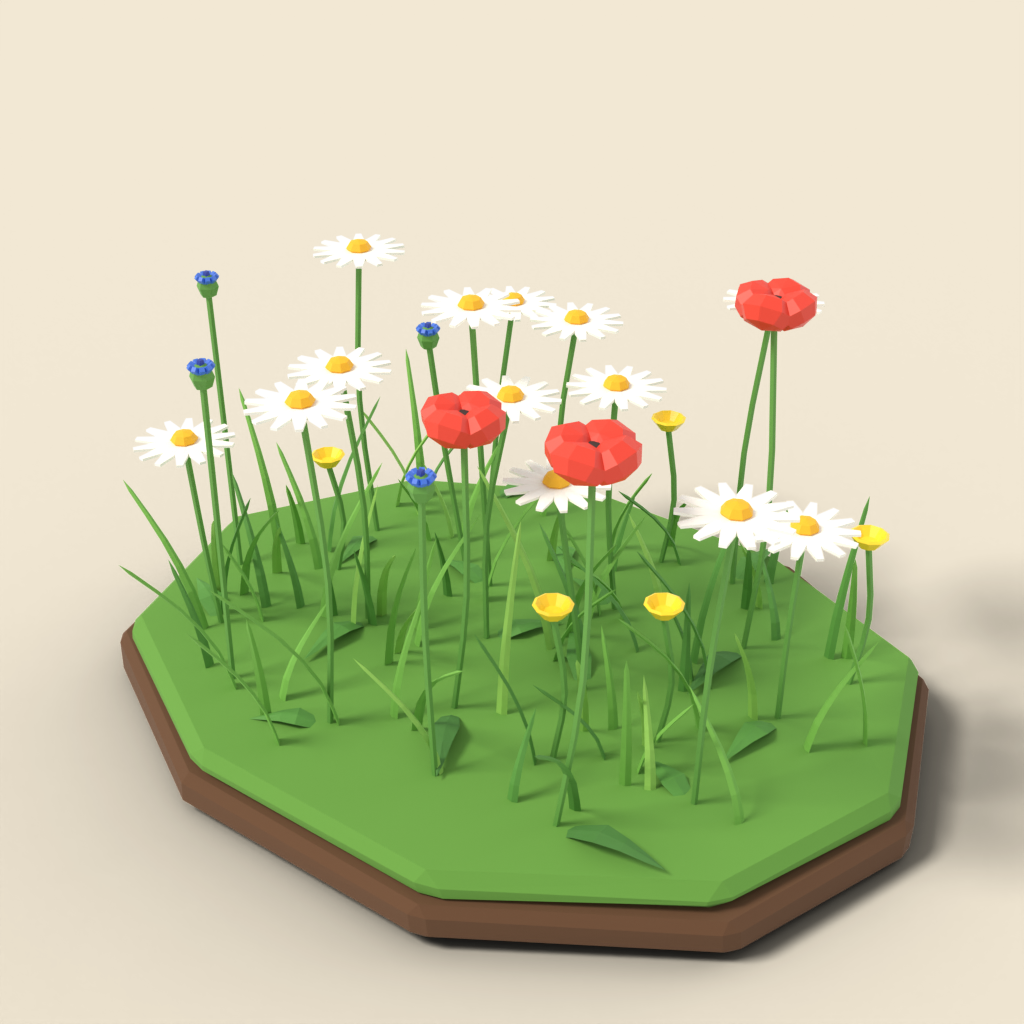 Wildflower patch with daisies
