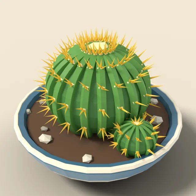 Golden barrel cactus in bowl