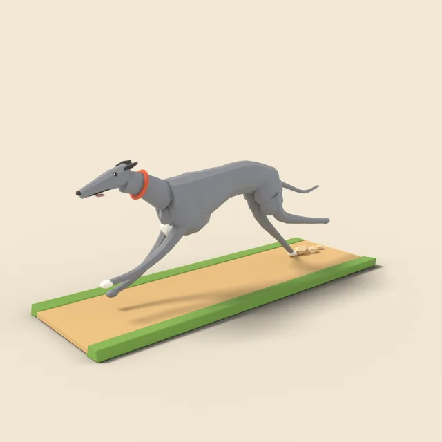 Running greyhound
